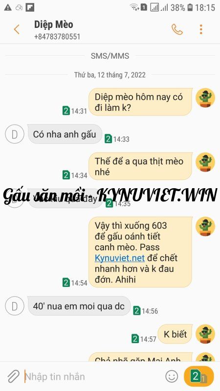 Screenshot_20220712-181512_Messages.jpg